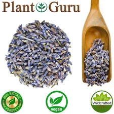 Lavender Flower Buds Dried Fresh Bulk Wholesale Lavandula Angustifolia