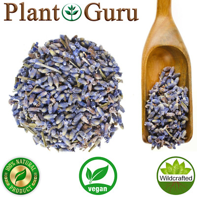 Lavender Flower Buds Dried Fresh Bulk Wholesale Lavandula Angustifolia