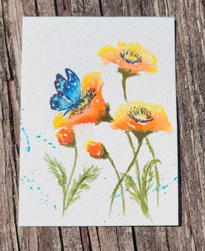 ACEO by Diane Bentley  Watercolor Flowers Poppies Blue Butterfly  Series  2