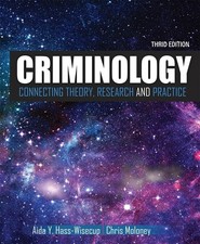 Criminology: Connecting Theory, Research, and Practice by Aida Y. Hass (English)