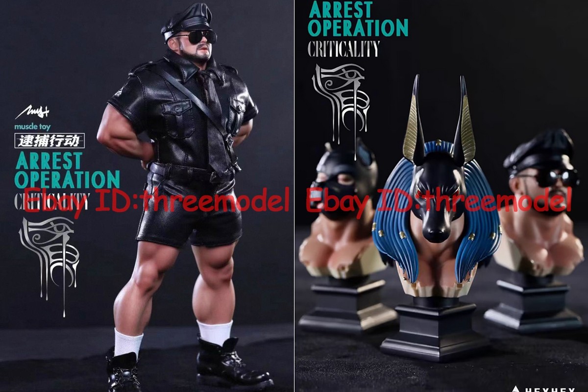 HEYHEY 1/6 Arrest Operation Criticality Limited Edition Model