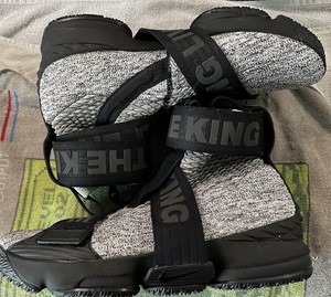 ronnie fieg lebron