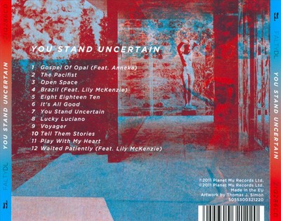 FALTYDL YOU STAND UNCERTAIN NEW CD