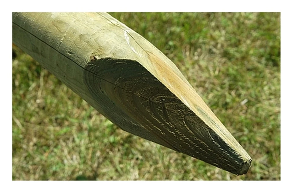 10 x 1.8m (6ft) tall x 75mm dia. Wooden Fence Posts pressure treated wood - Image 3 of 4