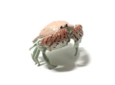 Kaiyodo Museum Q Japan Exclusive Box Crab Mini Figure