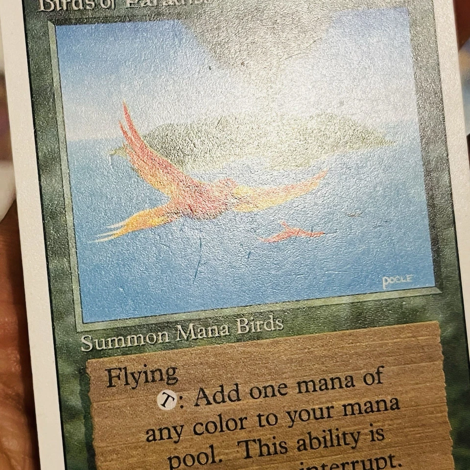 Magic the Gathering ~ MTG ~ 1x Birds of Paradise ~  MP ~ REVISED - Image 2 of 4