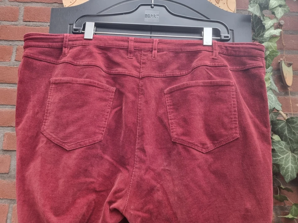 große Größe * Cord Hose CORDHOSE bordeaux *bpc * Gr.50 - Bild 3 von 4