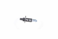 10X GlüHlampe, Fernscheinwerfer Bosch 1 987 302 015 FüR Abarth Alfa Romeo