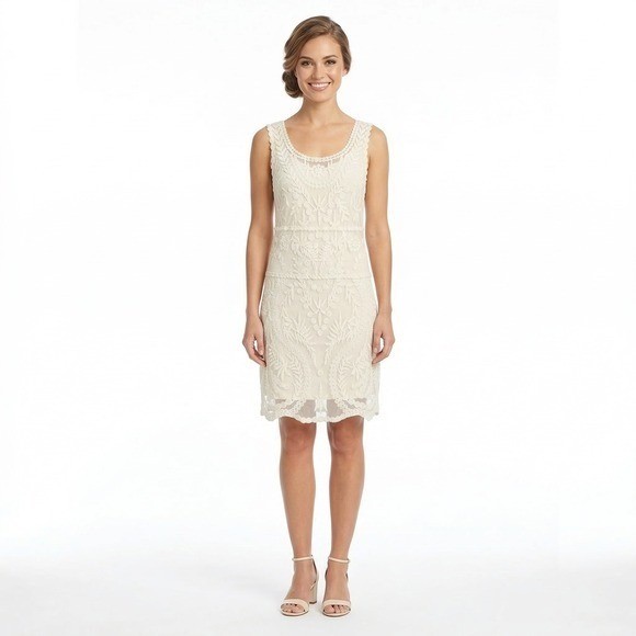 express embroidered dress Embroidered Square Neck Drop Waist Mini Dress With Pockets