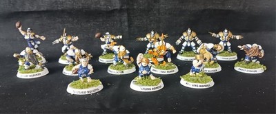 Bowl Team Old World Alliance Team with Ogre