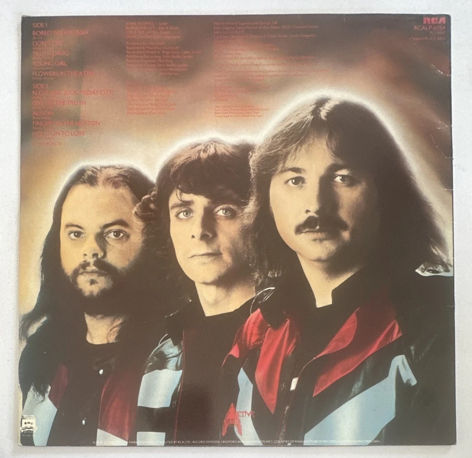 Budgie Deliver Us From Evil A1/B1 Vinyl LP Record Album RCALP 6054 NM / VG+ - Image 3 of 4