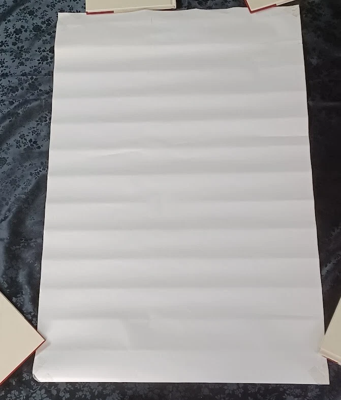 Póster Emmitt Smith - RARO Vintage Planet Reebok 1993 NFL Jugador Más Valioso Dallas Cowboys Foto 3 de 4