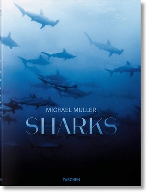 2019 Latest Edition Sharks, Michael Muller