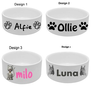 andy seliverstoff big dogs