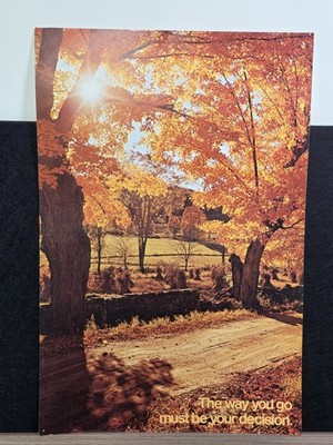 Vintage Motivational Poster 14x21 Argus 1976 Country Road