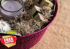 SuperMoss Spanish Moss Dried Natural 8 Ounces