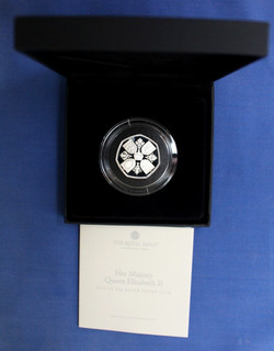 2022 Silver Proof 50p coin "QEII Memorial" in Case with COA