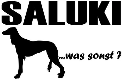 AUFKLEBER SALUKI sticker Autoaufkleber Schriftzug „Saluki…was sonst?" - Bild 1 von 3