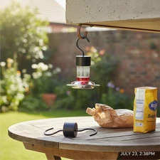 Hanging Hummingbird & Oriole Feeder Ant Moat Stainless Steel Ant Guard Easy t...