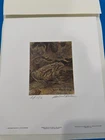 Robert BATEMAN Common Toad in the Leaves Limited Edition art print Artist Proof