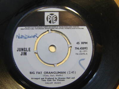 Jungle Jim   Fig Fat Oranguman 1971 7  Pye 7N 45092 