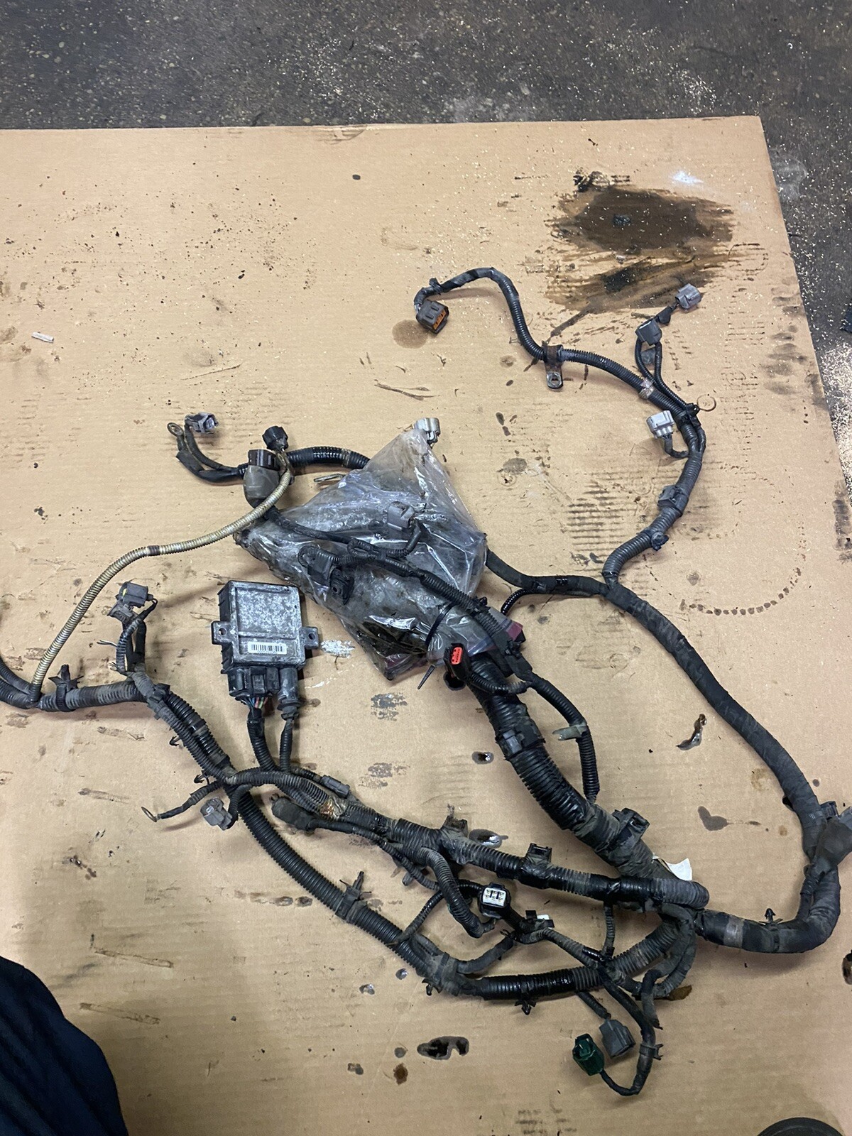 Picture 2 of 2