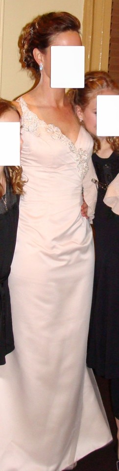 Justin Alexander Wedding Gown in Blush 