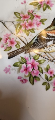 Pair Of Royal Worcester Fine Bone China Bird Plates - Picture 10 of 13