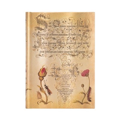 Notizbuch Flämische Rose Midi Unliniert Paperblanks