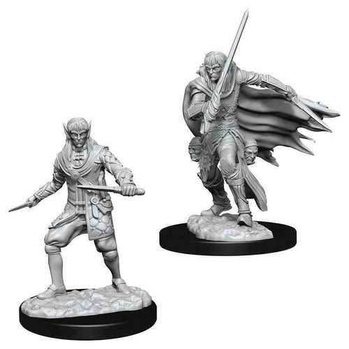 Elf Male Rogue Pathfinder Battles 