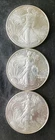 Lot of Three 2024 $1 American Silver Eagle Dollars
