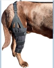 Labra Dog Knee Support Brace for ACL, Ligament Sprains in Hind Leg 50-75 lb Dogs