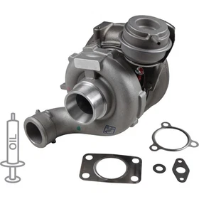 JP GROUP Turbolader ohne Pfand passend für Audi Allroad A6 C5 B6 2.5 TDI quattro