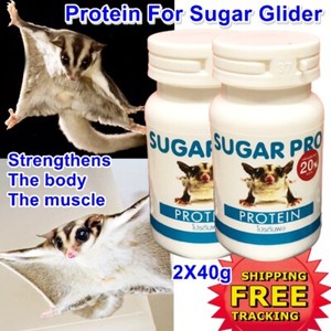 sugar glider supplements