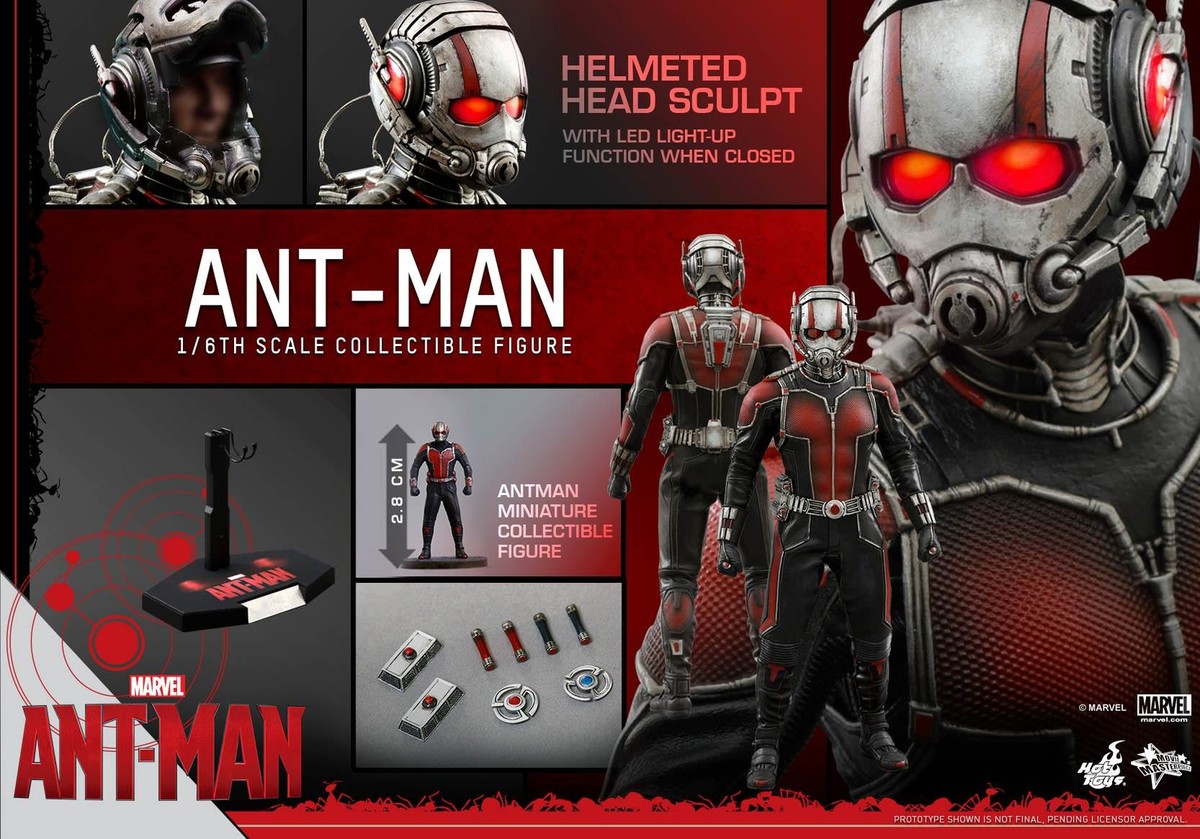 HOT TOYS 1/6 MMS308 ANT-MAN Figure Marvel w/miniature Ant-Man | eBay