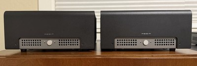 Schiit Audio Aegir Speaker Mono Block Power Amplifier (Pair)-Great condition