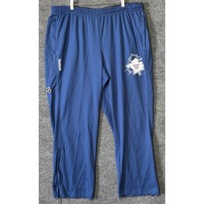 Toronto Maple Leafs Collecting and Fan Guide 45