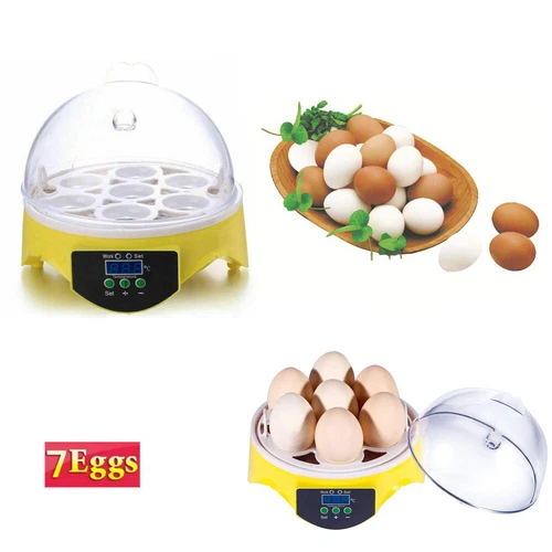 Egg Incubator Hatching Machine Breeder Portabel Chicken Eggs Hatcher for 7 Eggs - Picture 7 of 18