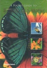 A Pocket Guide to Butterflies  Moths - Paperback By Balmer, Elizabeth - GOOD
