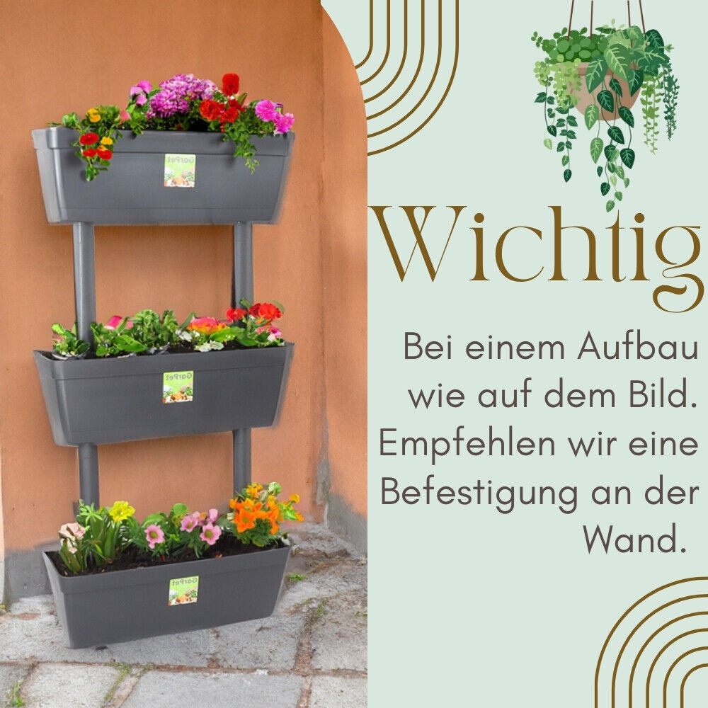 Bild 5 von 7