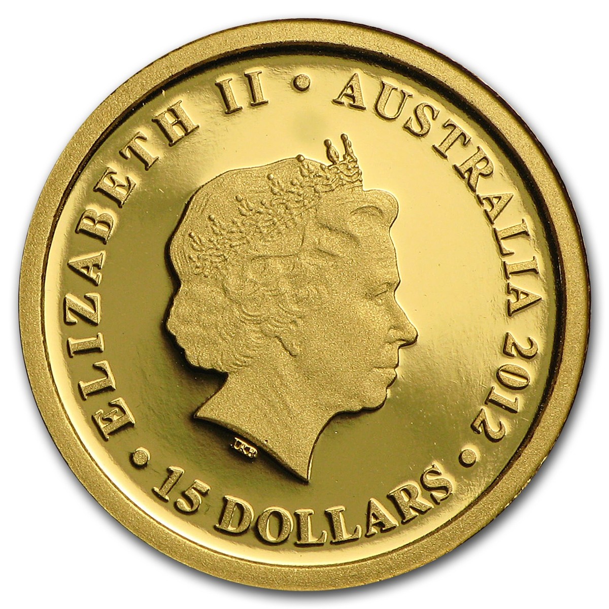 お買い得　コスタリカ産　アウリガヌスキンイロコガネ　26mm お買い得 コスタリカ産 アウリガヌスキンイロコガネ 26mm コスタリカ産