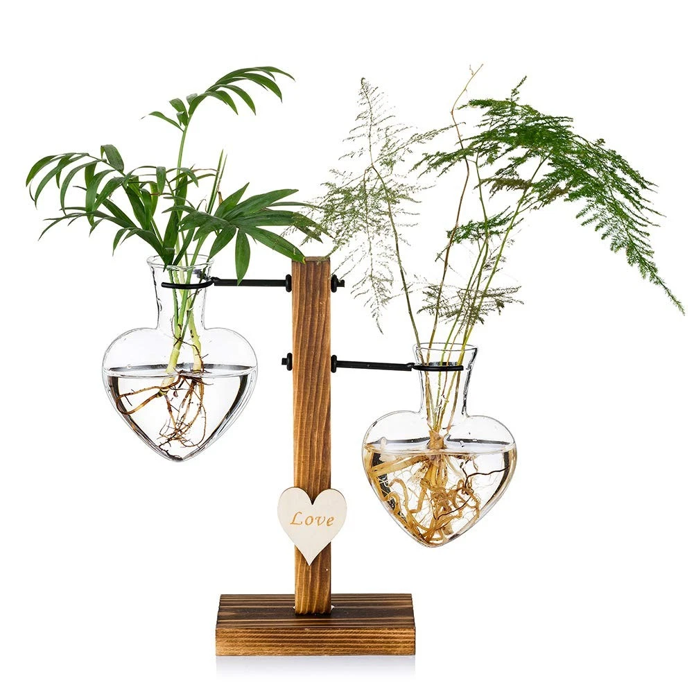 Vaso Sospeso In Vetro Per Piante | Fioriera Da Parete | Decorazione Casa Idroponica E Terrario