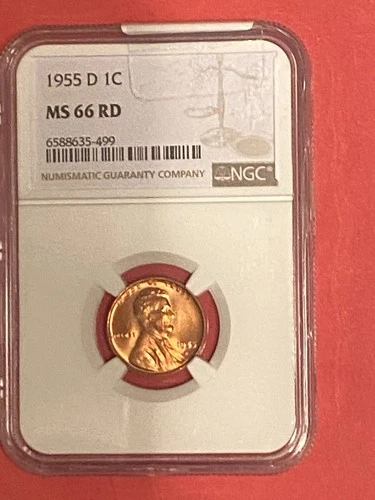 1955 D Lincoln Cent MS66 RD NGC Wheat Penny
