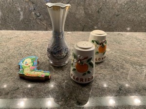 Florida Vase. Salt And Pepper  Fridge Magnet