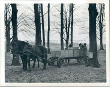 1942 Press Photo Men Collect Sap Buckets Pour Sap into Horse Drawn Tank 1940s