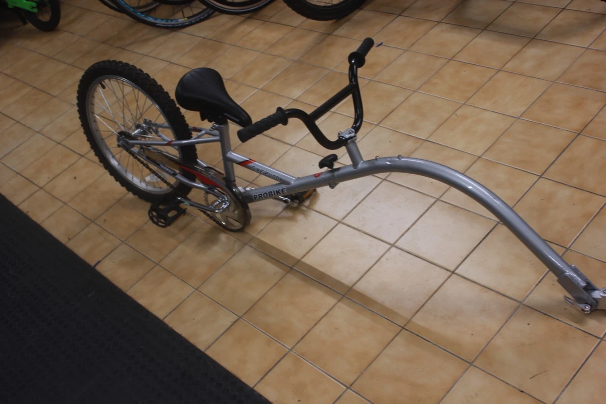 Probike Bike Buddy Tag A Long