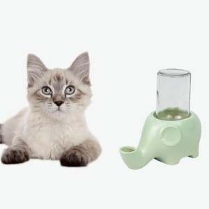 Pet Kitty Cat Automatic Water Dispenser Water Bottle Bowl Feeder Elephant Ebay