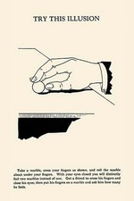 Try This Illusion Harry Houdini Poster Print