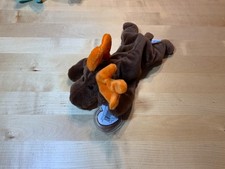 TY Beanie Baby Chocolate the Moose 1993