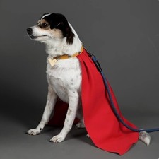 Superman Krypto Cosplay Cloak Dog Superdog Cape Funny Pet Clothing Gift